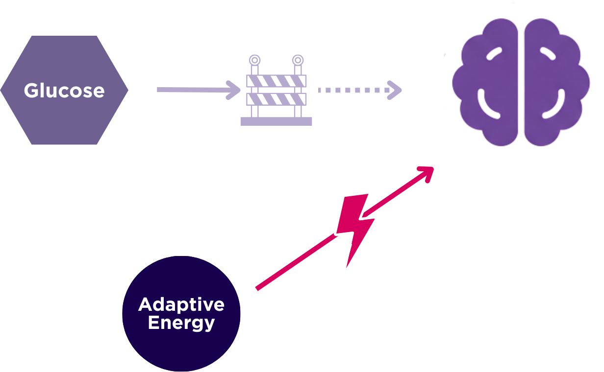 What is adaptive energy? The missing piece in hypo recovery